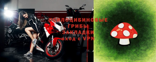дмт Новозыбков