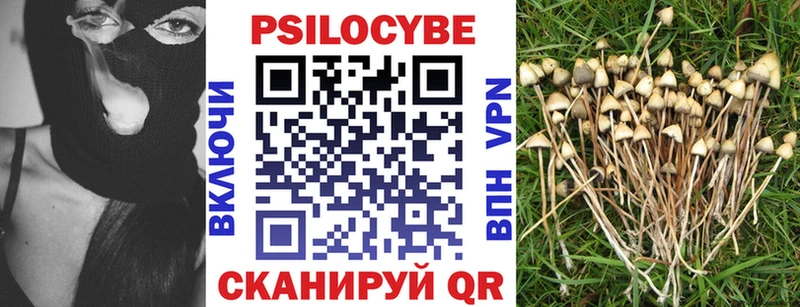 как найти закладки Фатеж Галлюциногенные грибы ЛСД